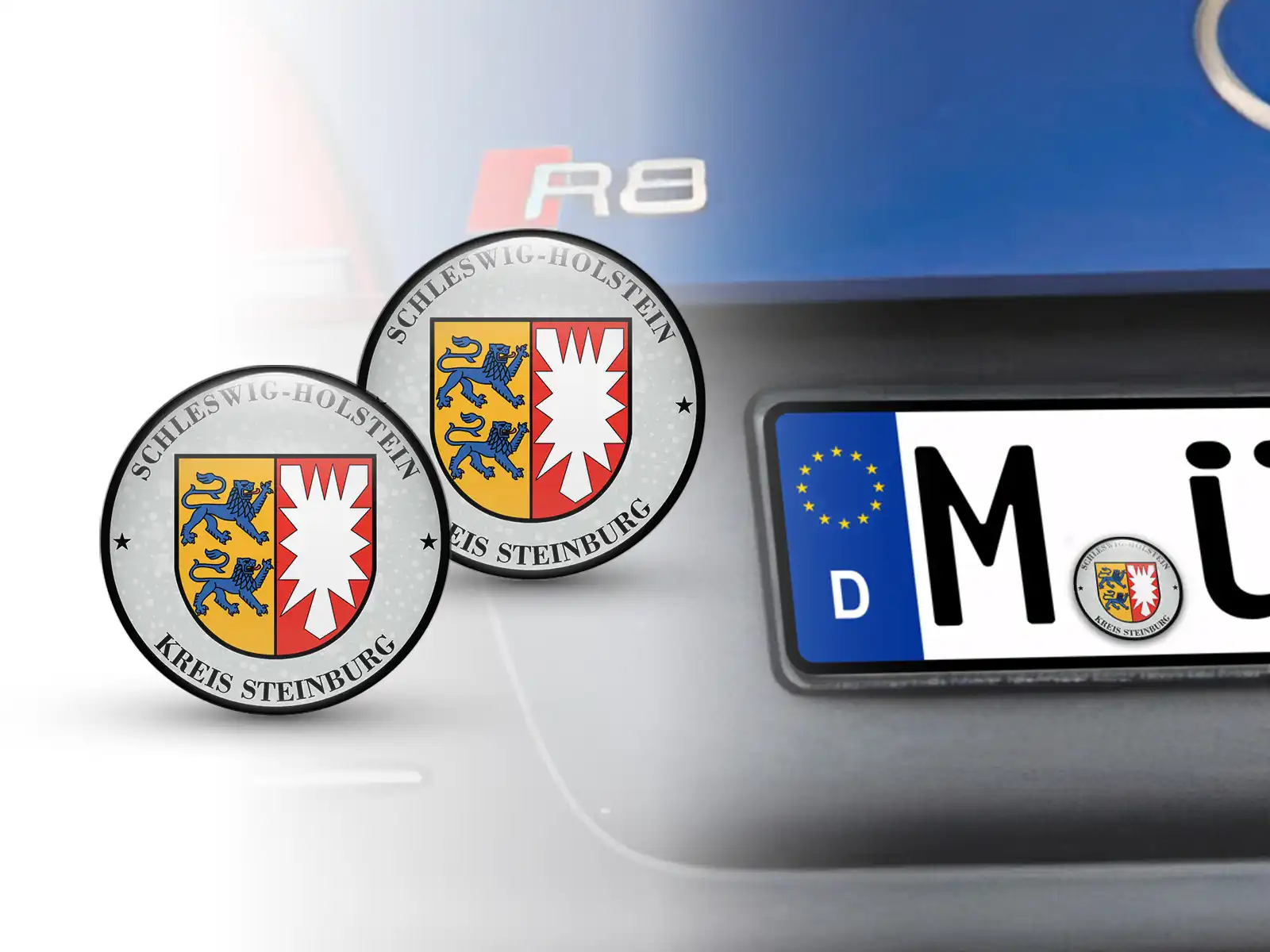 TÜV Kennzeichen-Sticker Kreis Steinburg Nummernschild plakette